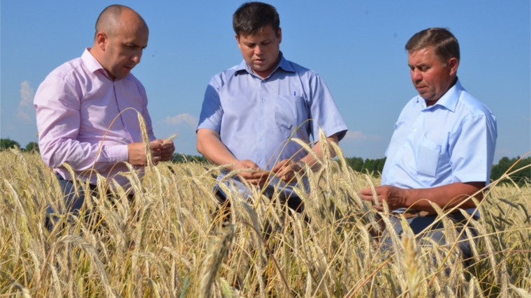 Глава райадминистрации Сергей Артамонов ознакомился с ходом сельскохозяйственных работ