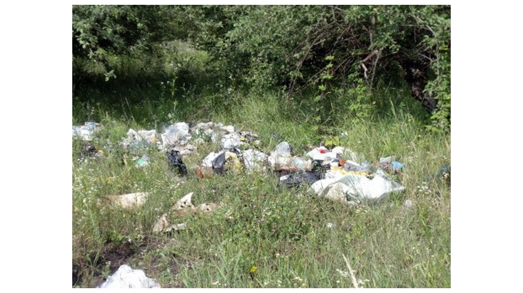 Ликвидировано 50 несанкционированных свалок и навалов мусора