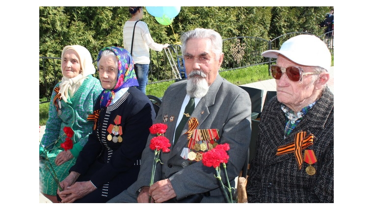 Меры социальной поддержки ветеранам Великой Отечественной войны и вдовам погибших (умерших) в Цивильском районе инвалидов и участников войны