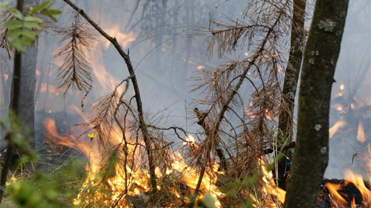 На территории Шумерлинского района проводится месячник по профилактике пожаров и усилению мер пожарной безопасности