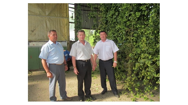 Рабочая поездка заместителя министра сельского хозяйства Чувашской Республики по Цивильскому району