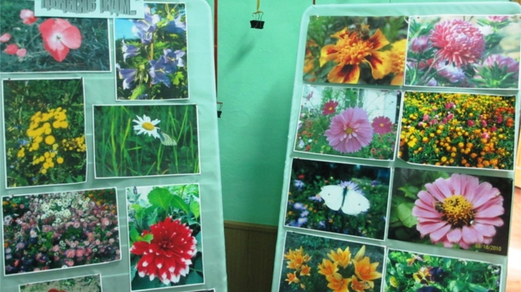 Экспозиция «Страна Цветик – семицветик» Дома детского творчества