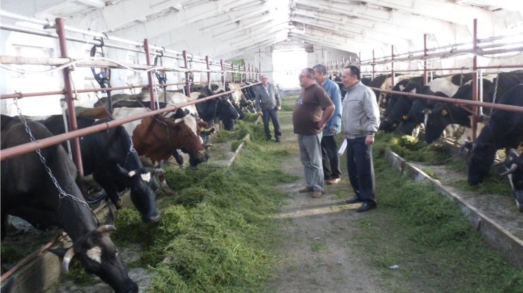 Работа по подготовке животноводческих помещений в Вурнарском районе продолжается