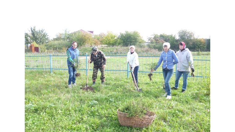Осенние работы по благоустройству в Андреево-Базарском сельском поселении