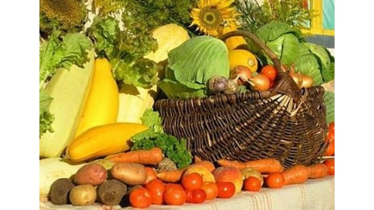 Сельскохозяйственный месячник «Дары осени - 2014»: в Ленинском районе реализовано 413,95 т овощей