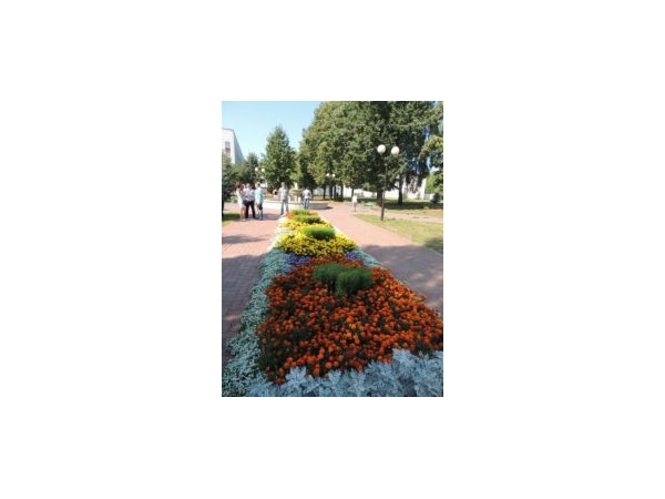 Итоги конкурса на лучшее благоустройство территории города Чебоксары будут объявлены в ближайшие дни ("НТА-Приволжье")
