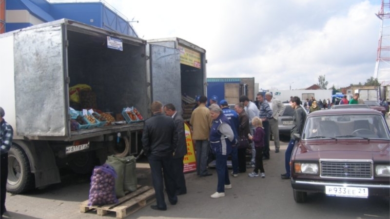 Сельскохозяйственный месячник «Дары осени - 2014»: в Ленинском районе г. Чебоксары реализовано 491020 кг овощей