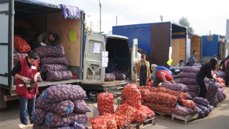 «Дары осени-2014»: реализовано 446 т картофеля, 118 т овощей и прочей продукции на общую сумму 6,8 млн. рублей