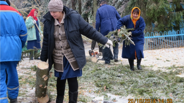 В Аликовском районе проводятся работы по ликвидации последствий ледяного дождя