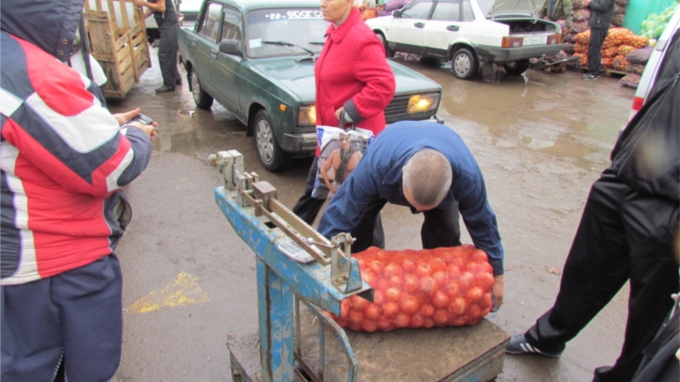 Месячник «Дары-осени-2014» завершен: горожане закупили 589740 кг овощей