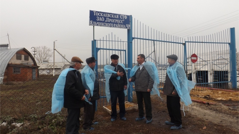 Руководитель Госветслужбы Чувашии С.Скворцов посетил животноводческие фермы Яльчикского района