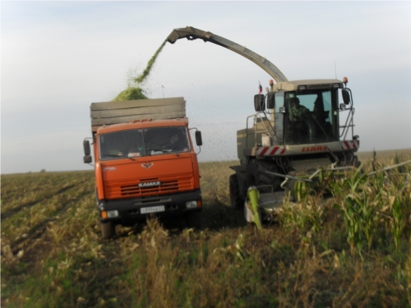 Кукуруза парĕ усă