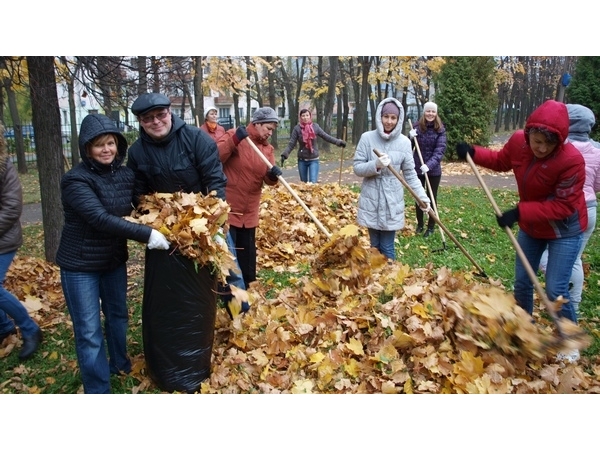 Вслед за листопадом