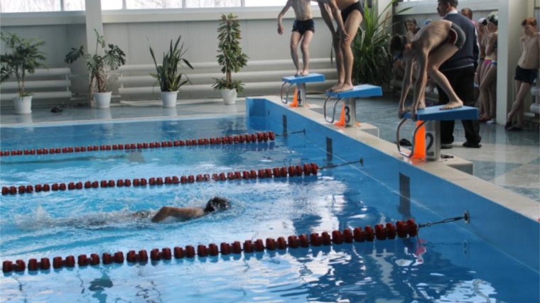 В чемпионате Чебоксарского района по плаванию могут принять участие все желающие