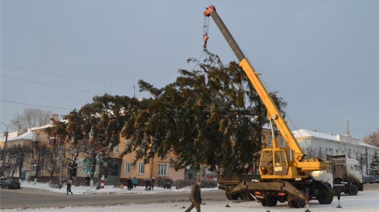 В Шумерле установлена главная новогодняя елка