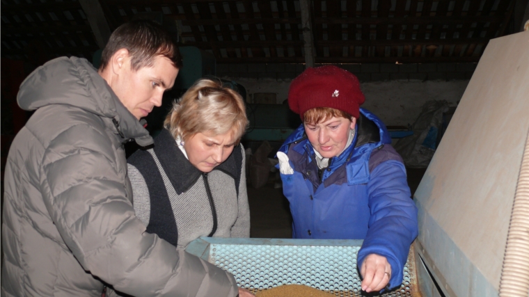 В сельхозпредприятиях Чебоксарского района идет работа по подготовке семян к весеннему севу