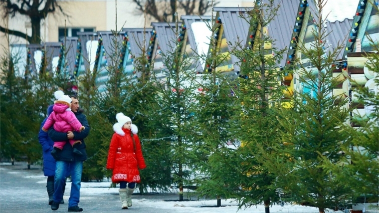 «Новогодний бульвар» в Чебоксарах откроет Главный Дед Мороз города