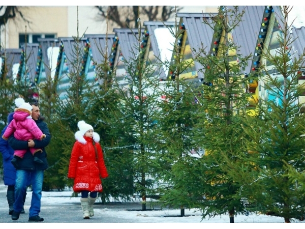 &quot;Новогодний бульвар&quot; в Чебоксарах откроет Главный Дед Мороз города (&quot;НТА-Приволжье&quot;)