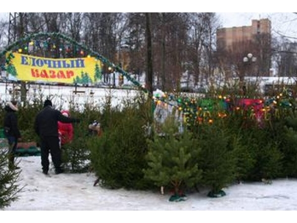 В Чебоксарах заработали елочные базары ("Мой город Чебоксары")