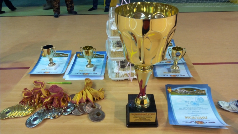 Волейболисты разыграли Кубок главы Исаковского сельского поселения