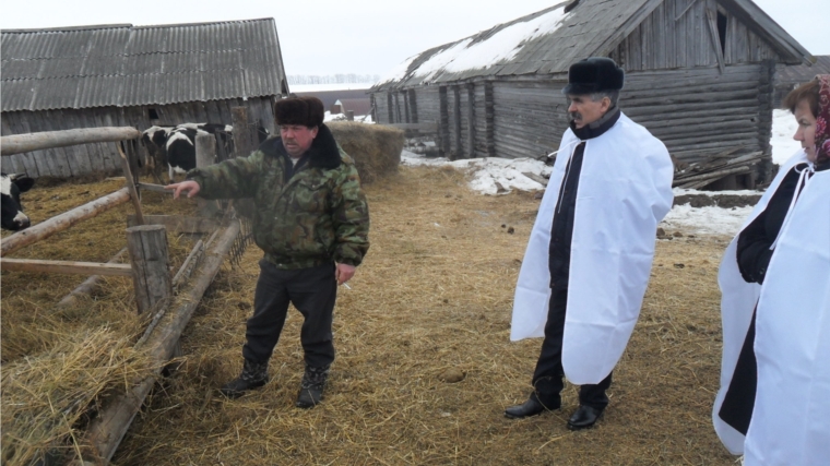 В хозяйствах Канашского района зимовка скота проходит организованно