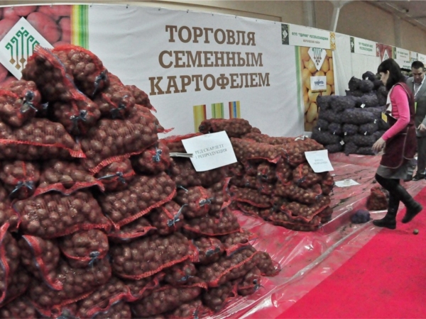 Картофельный форум