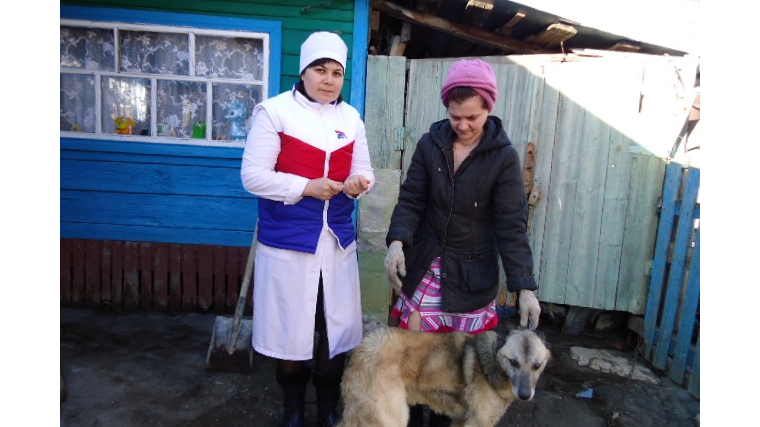 Ветеринарные специалисты г.Новчебоксарск проводят профилактические прививки против бешенства