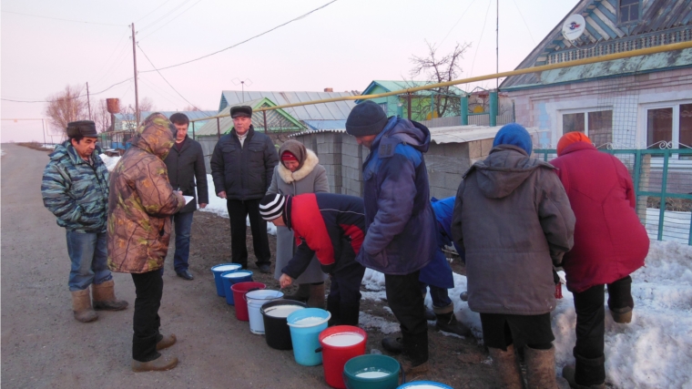 Исследования качества сырого коровьего молока в Урмарском районе