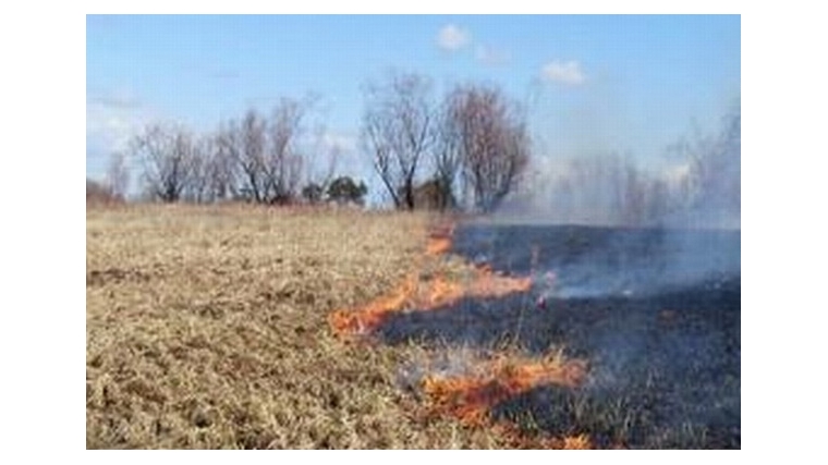 Будьте осторожны с огнем: возможны пожары от сжигания мусора и перехода огня от неконтролируемого пала сухой травы