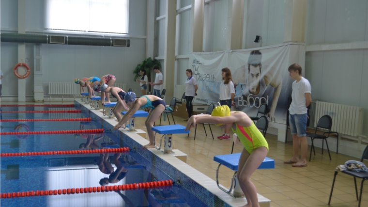 Состоялись первые соревнования по плаванию на призы компании «Новая реальность»
