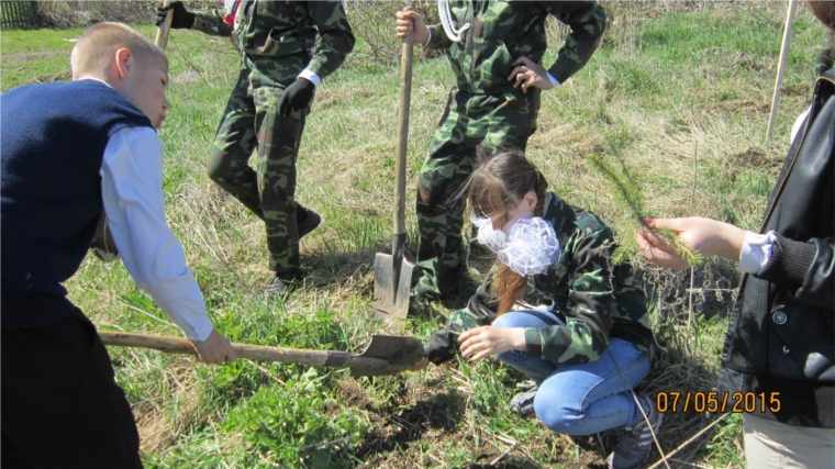 Разбита Аллея Победы в селе Калинино