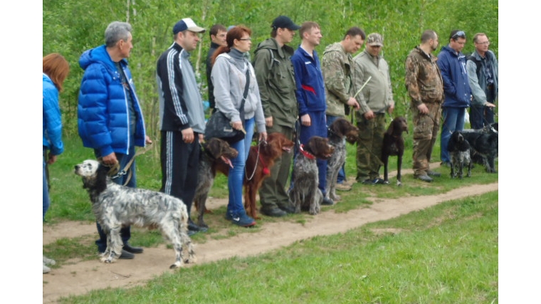 38 – городская выставка охотничьих собак в г. Новочебоксарск