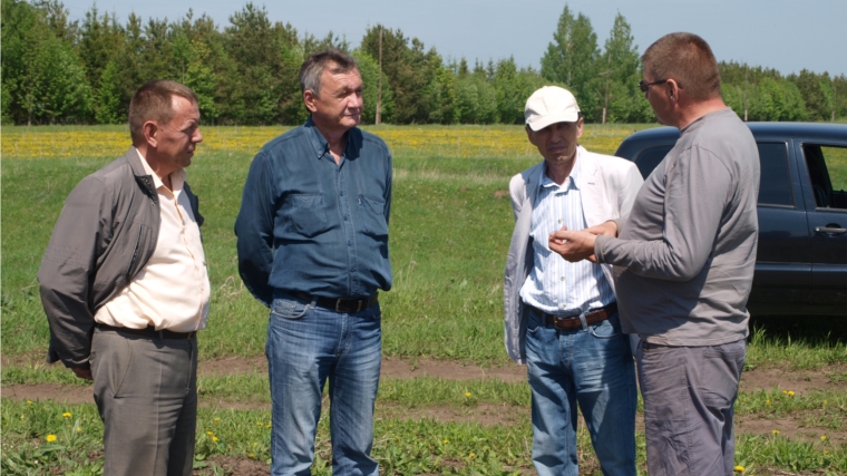 Заместитель министра сельского хозяйства Чувашской Республики Н.П. Якимов ознакомился с ходом посадки картофеля