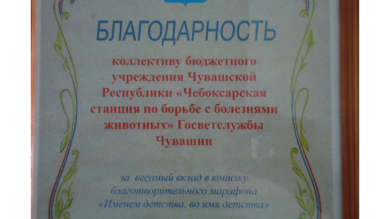 Закрытие благотворительного марафона «Именем детства, во имя детства» в Чебоксарском районе