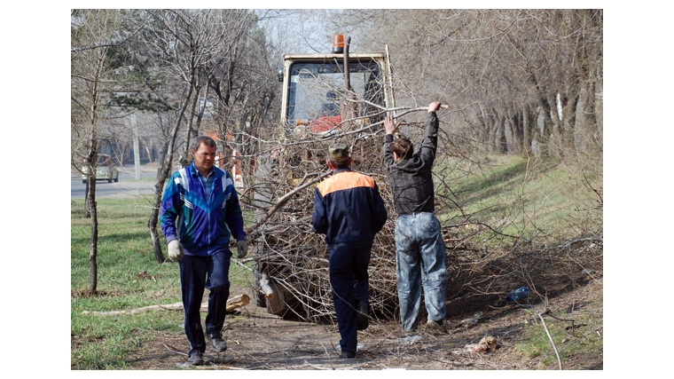 Возобновлены работы по вырубке и вывозу веток, поваленных деревьев