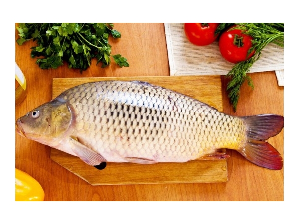 От какой рыбы бывает описторхоз?
