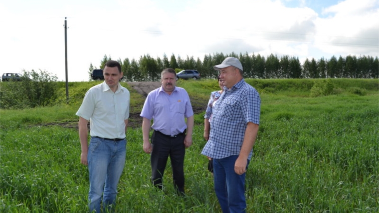 Министр сельского хозяйства Чувашии Сергей Павлов осмотрел посевы сельхозпредприятий Порецкого района