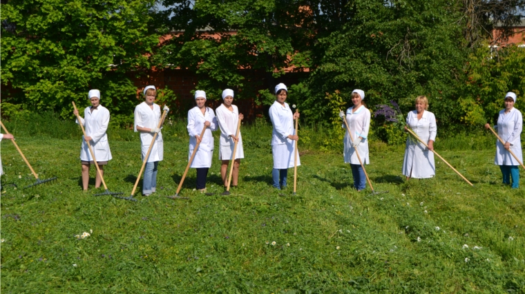 Специалисты БУ ЧР &quot;Чувашская республиканская ветлаборатория&quot; Госветслужбы Чувашии заготавливают корма для животных