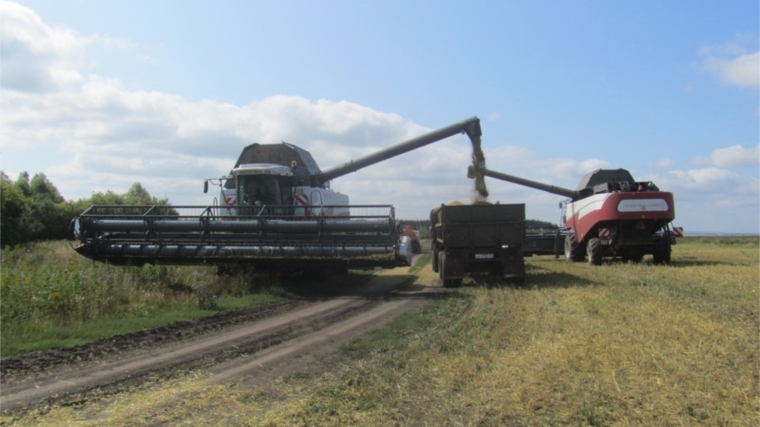 Уборка зерновых в Алатырском районе продолжается