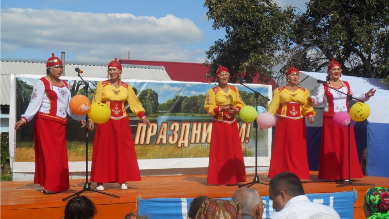 Жители деревни Ванюшкасы Красноармейского района отметили День рождения своей деревни