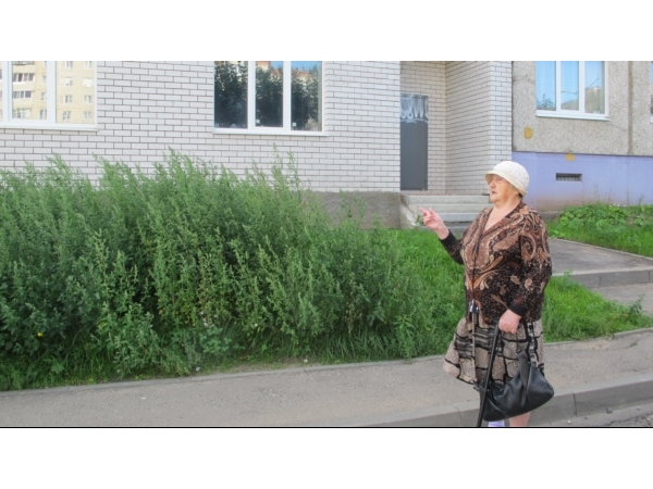 Не в огороде лебеда