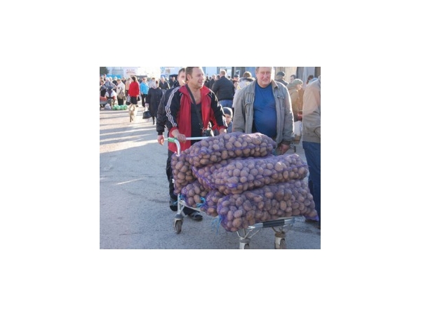 На ярмарки – за дарами осени