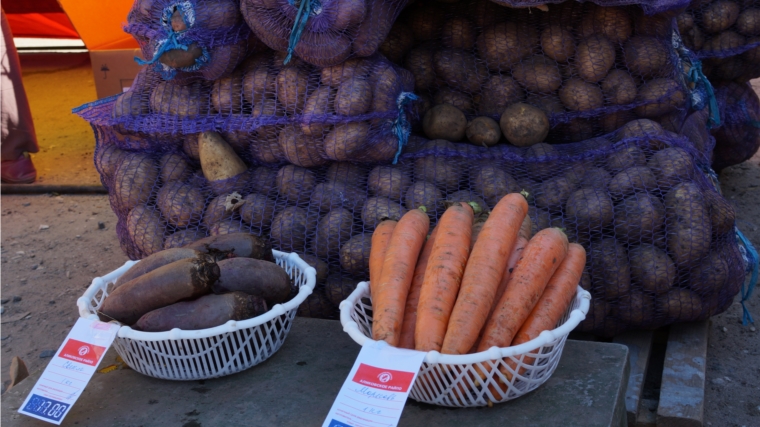 На осенней ярмарке «Дары осени-2015» горожане запасаются овощами