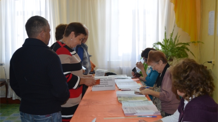 Мариинско-Посадский район: явка избирателей на 12:00 составила 34,6%
