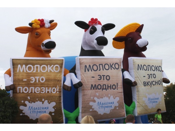 В субботу в Чебоксарах пройдет «Фестиваль молока» (&quot;Мой город Чебоксары&quot;)
