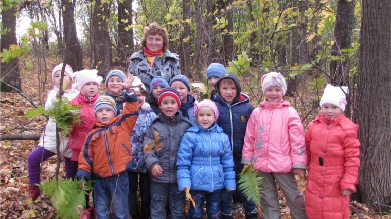Прогулка в осенний лес прошла в МБДОУ «Детский сад «Сказка»