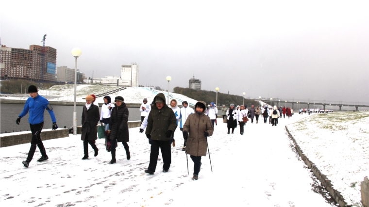 Пешком от артрита: медицинские работники провели оздоровительную акцию «Прогулка с врачом»