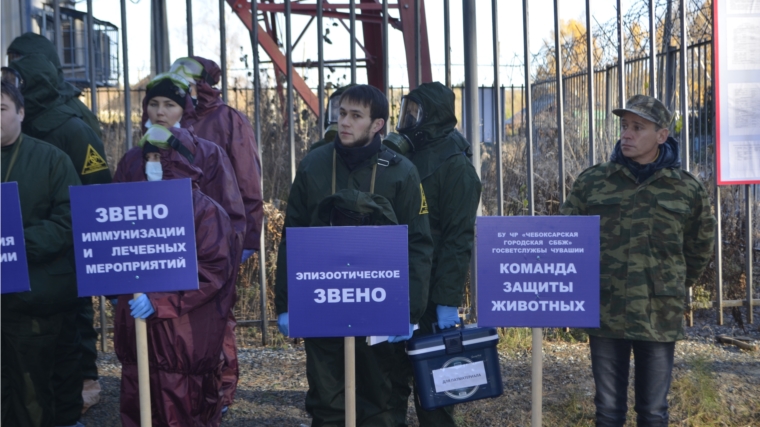 Очаг сибирской язвы ликвидирован успешно