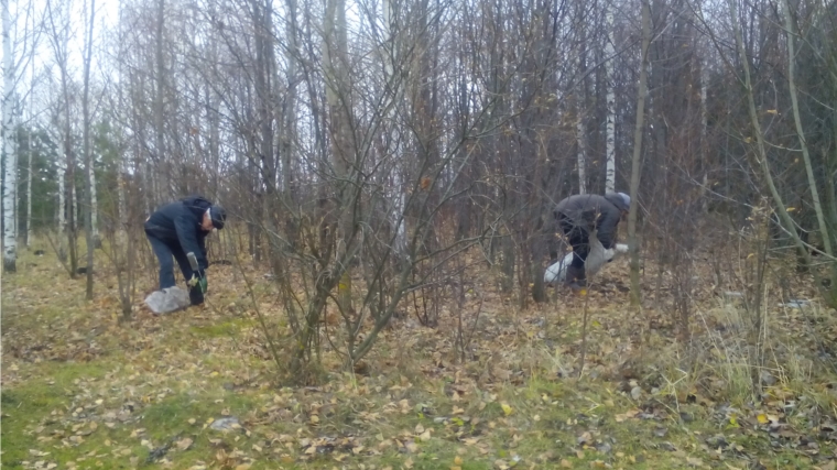 В Сявалкасинском сельском поселении провели осенний экологический субботник по уборке территории