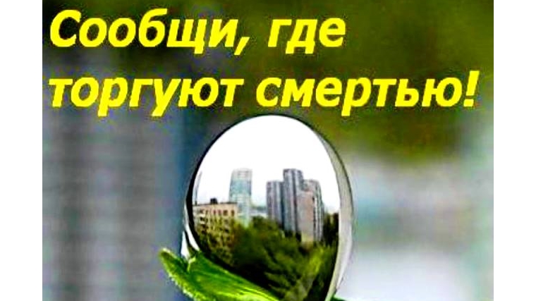 16 ноября в Чувашии стартует всероссийская акция «Сообщи, где торгуют смертью»